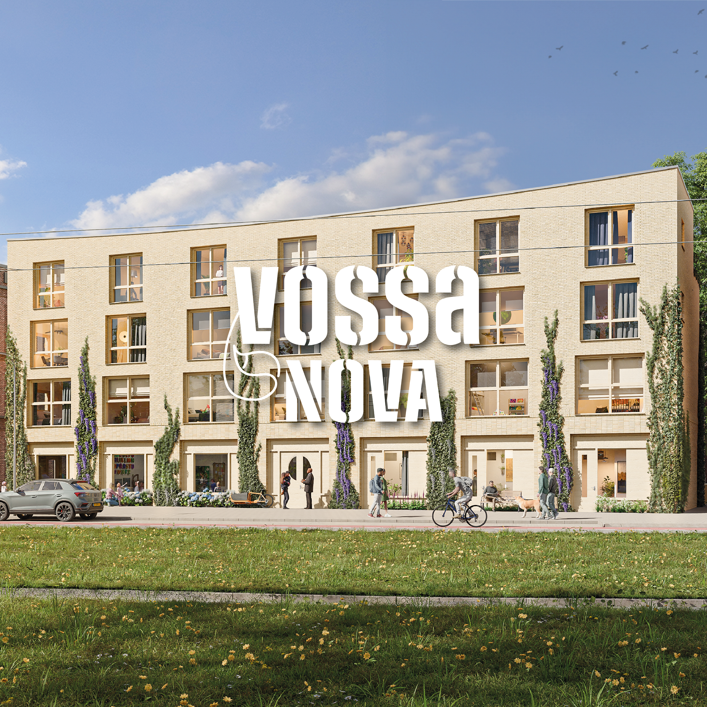 Project case Vossa Nova_Tekengebied 1-03