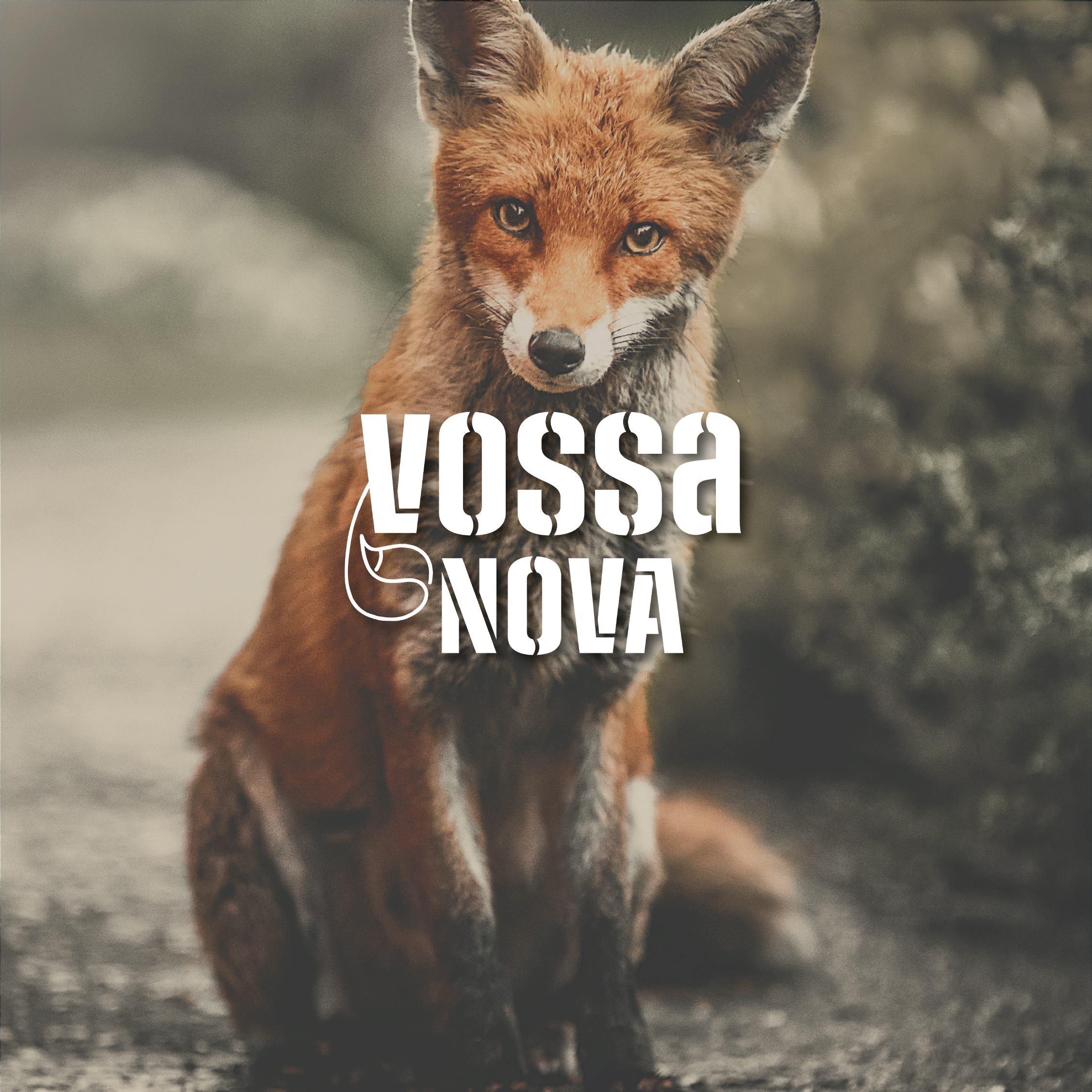 Project case Vossa Nova_Tekengebied 1-05