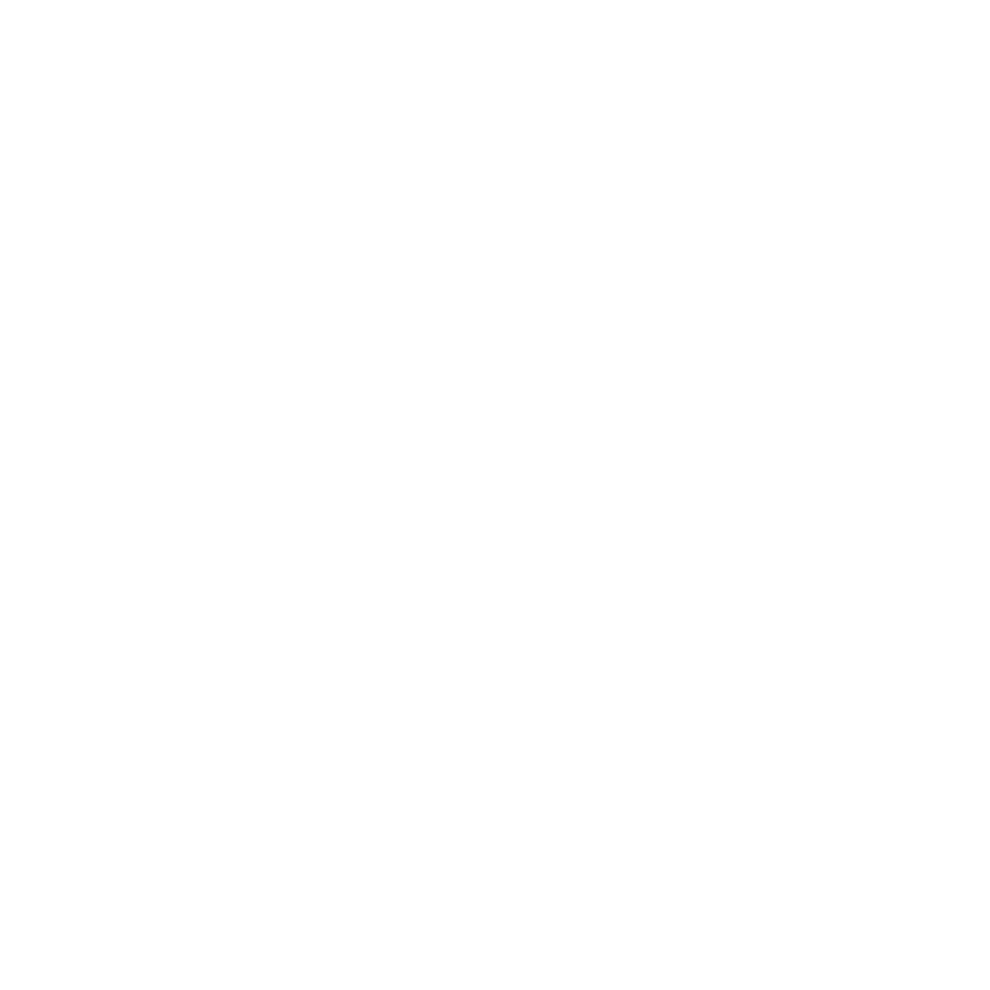 Logo Max nieuw2